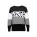 Women Color Block   Leopard Round Neck Long Sleeve Casual Sweaters